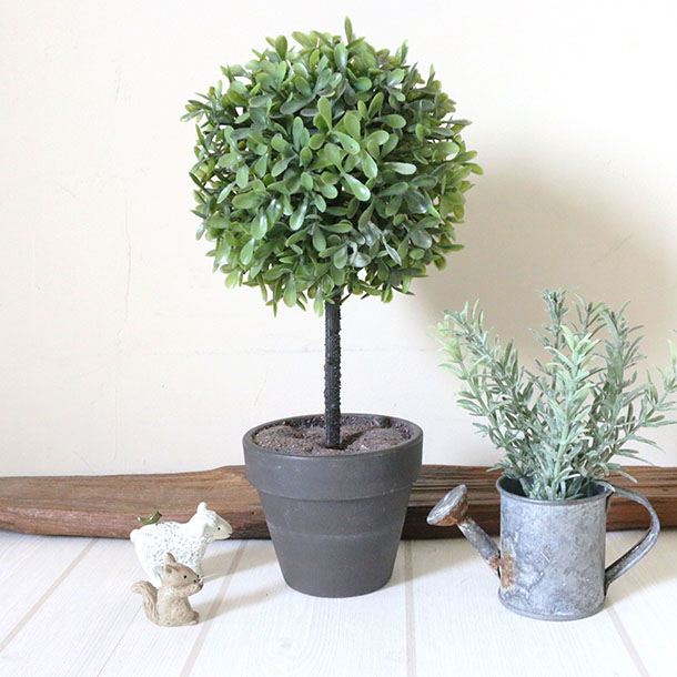 院内のイメージ写真